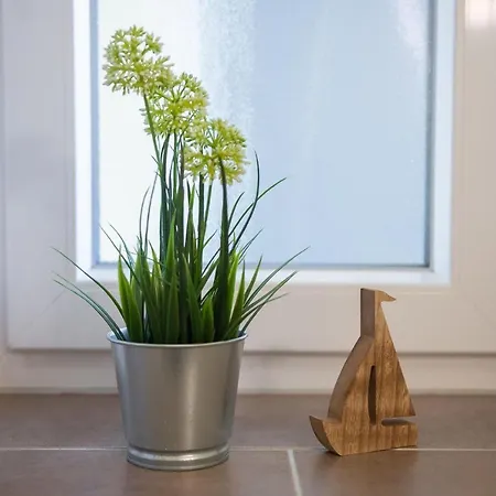 Haus Meeresglueck Seemuschel * Dahme (Schleswig-Holstein)